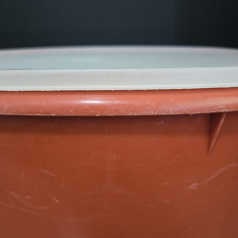 Orange Storage Container with White Lid - Picture 4 of 10